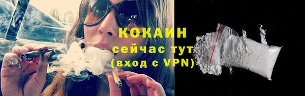 сатива Арсеньев