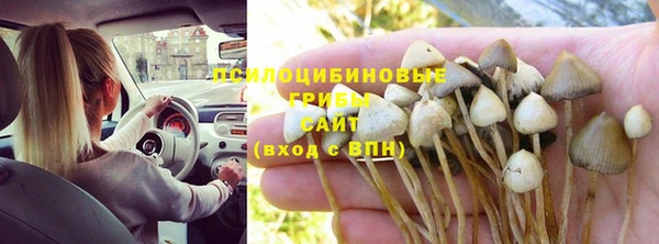 мескалин Армянск