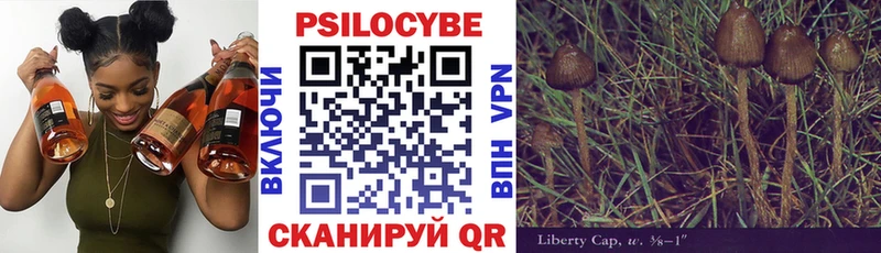Галлюциногенные грибы мицелий Балабаново